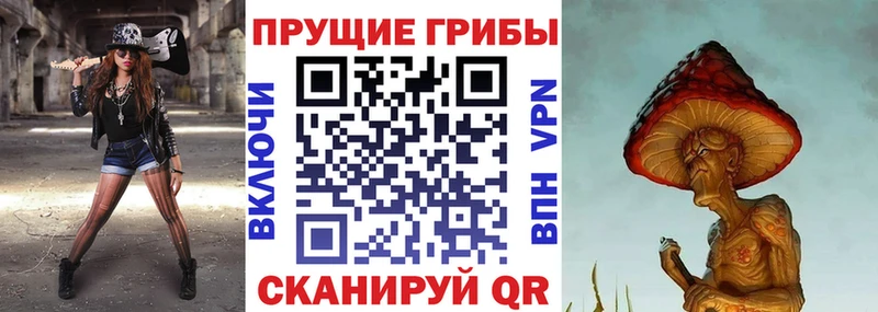 мега ссылка  Нариманов  Галлюциногенные грибы GOLDEN TEACHER 